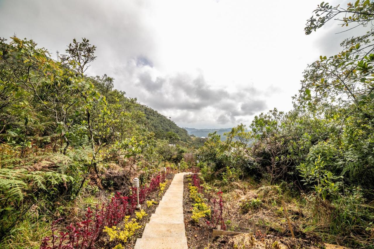 Cerro Verde Mirador Medellín Esterno foto